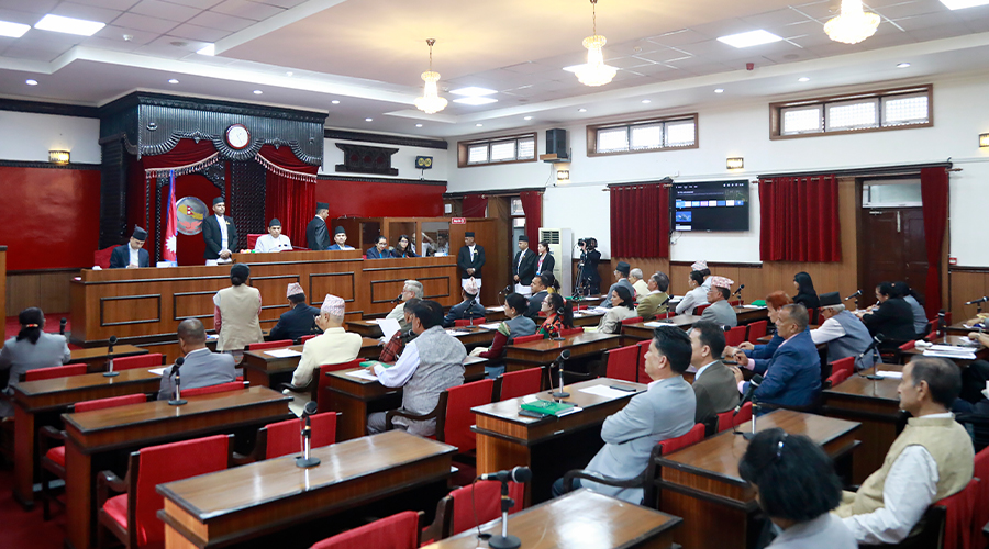 गरिमा हत्याबारे सांसदहरूले मागे सरकारको जवाफ