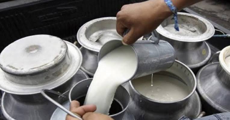 अब दुध किसानको भुक्तानी बेचेको २५ दिनमै, ३५ करोड भुक्तानी बाँकी